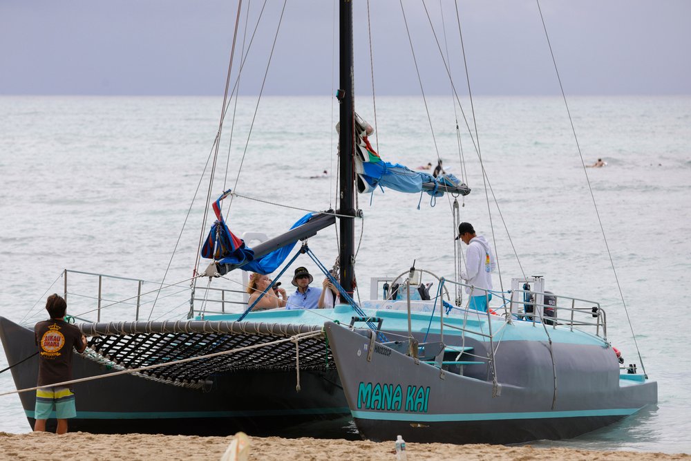 Catamaran whale watching tour Hawaii